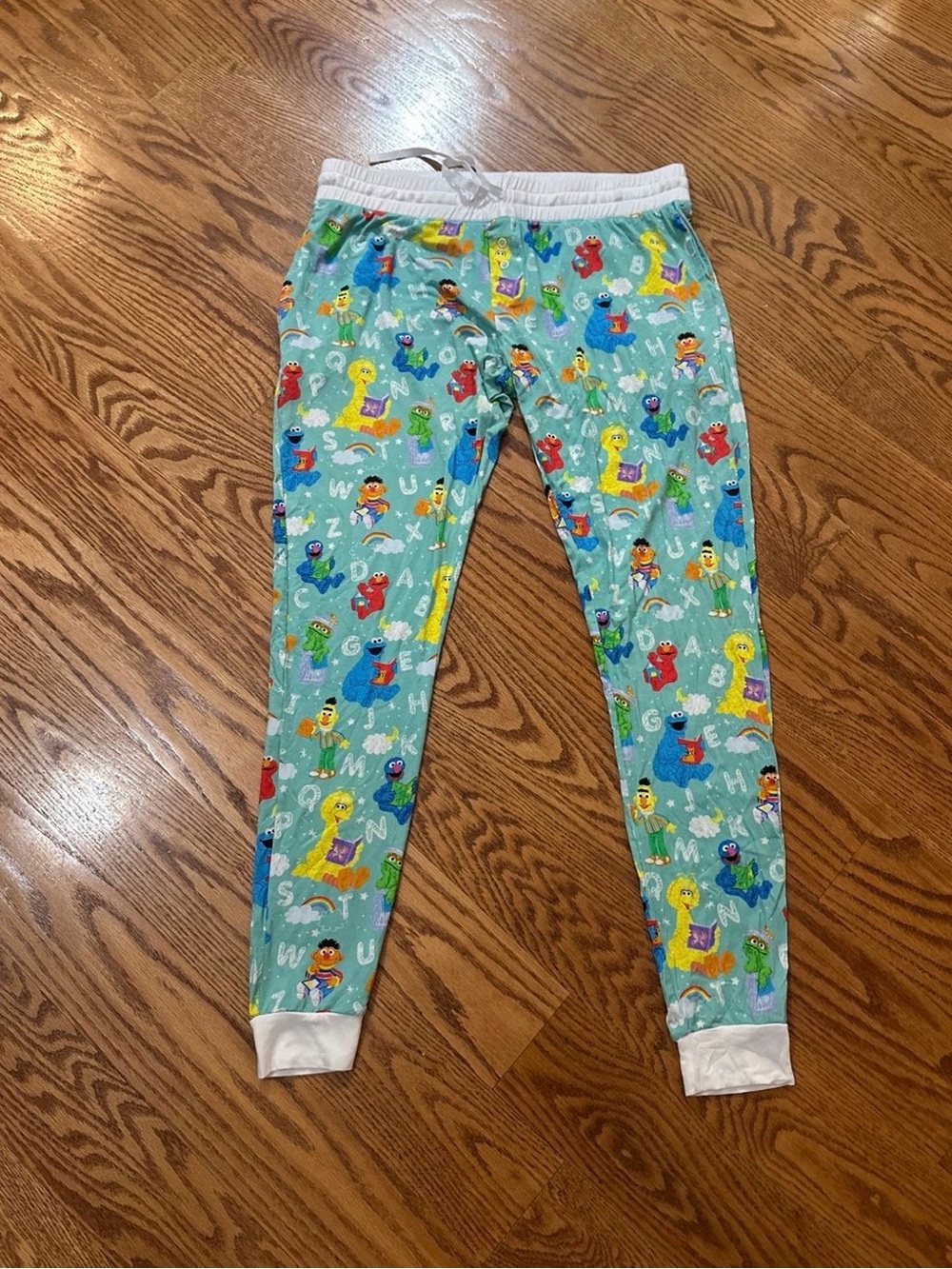 Little Sleepies + Sesame Street Pajama Pants Adult Small